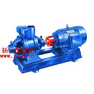 W型雙級漩渦泵