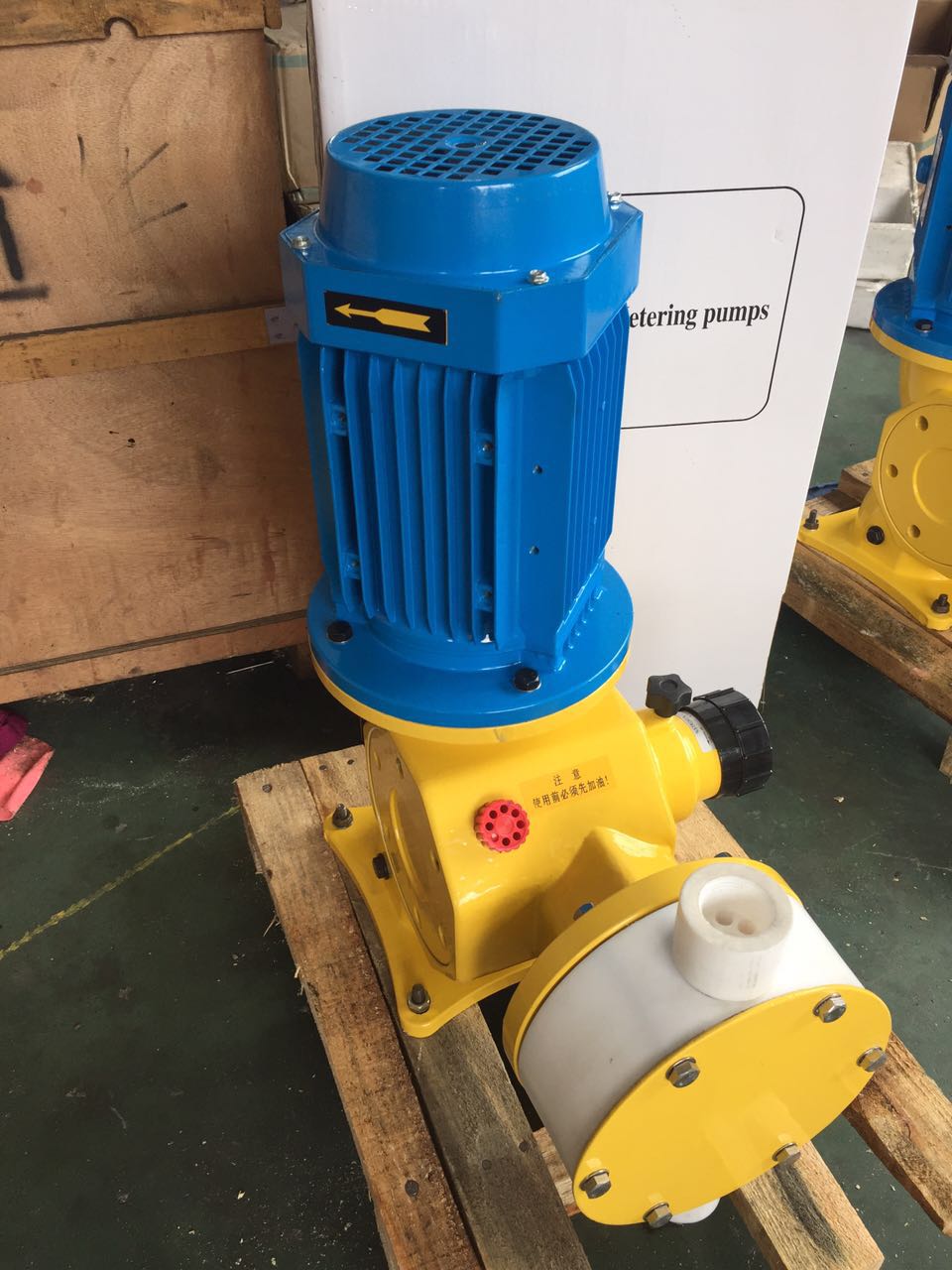 GM�͸�ĤӋ����